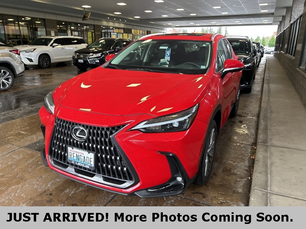 2022 Lexus NX 350's photo