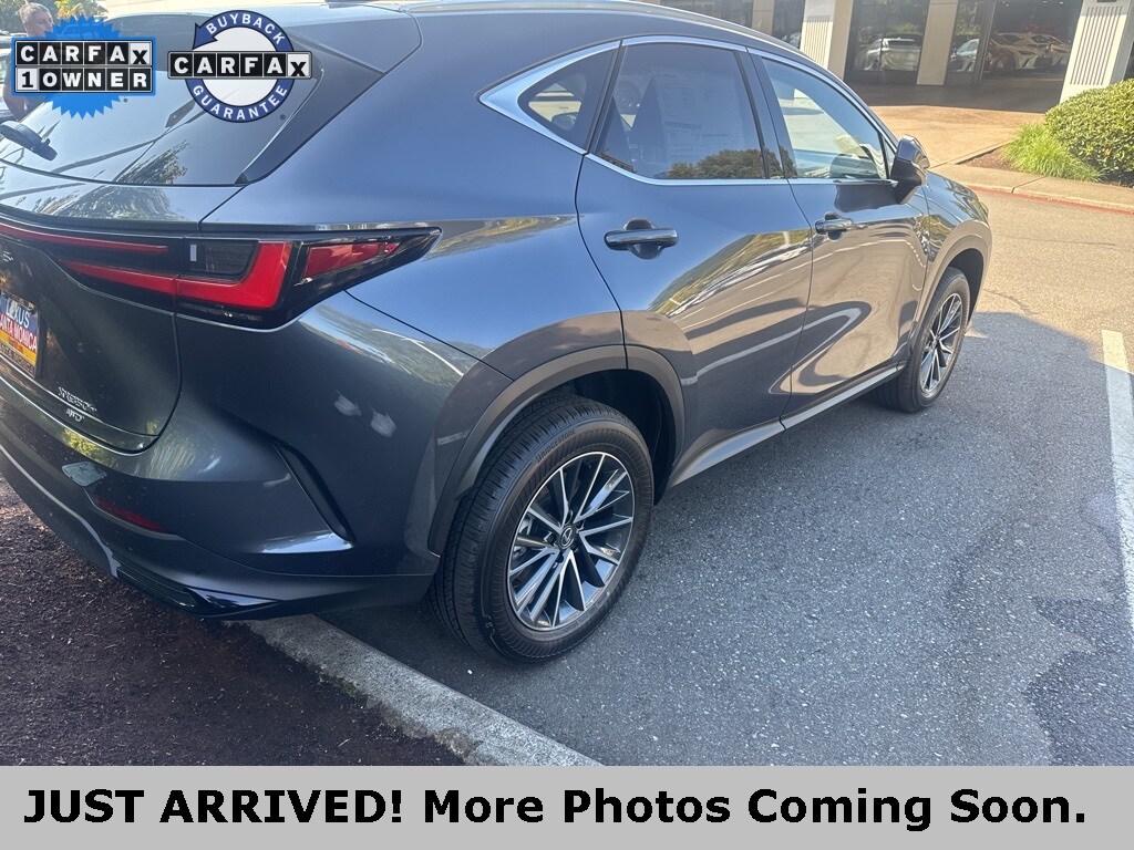 2025 Lexus NX 350h Premium photo 3