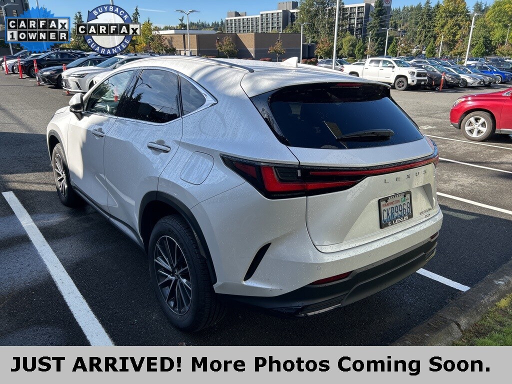 2024 Lexus NX 350h Premium photo 4