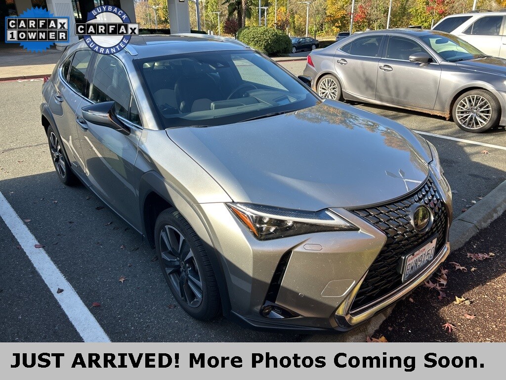 2020 Lexus UX 250h photo 2