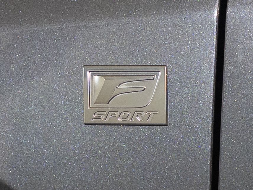 2025 Lexus RX Hybrid 350h - Photo 27