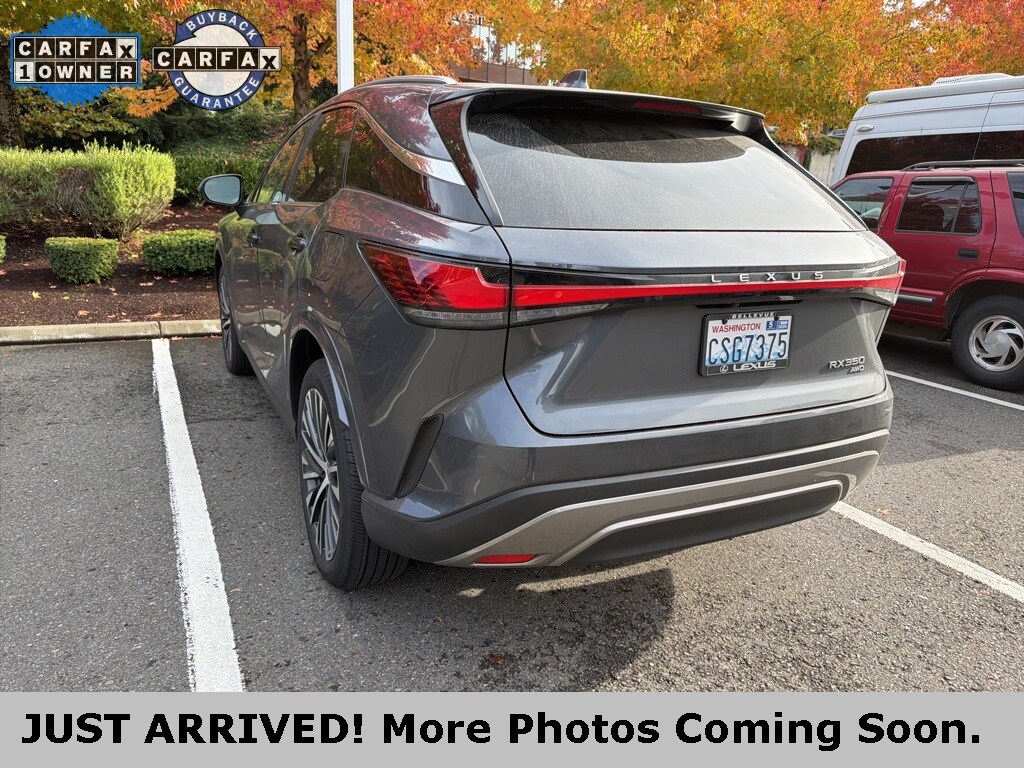 2025 Lexus RX 350 photo 4