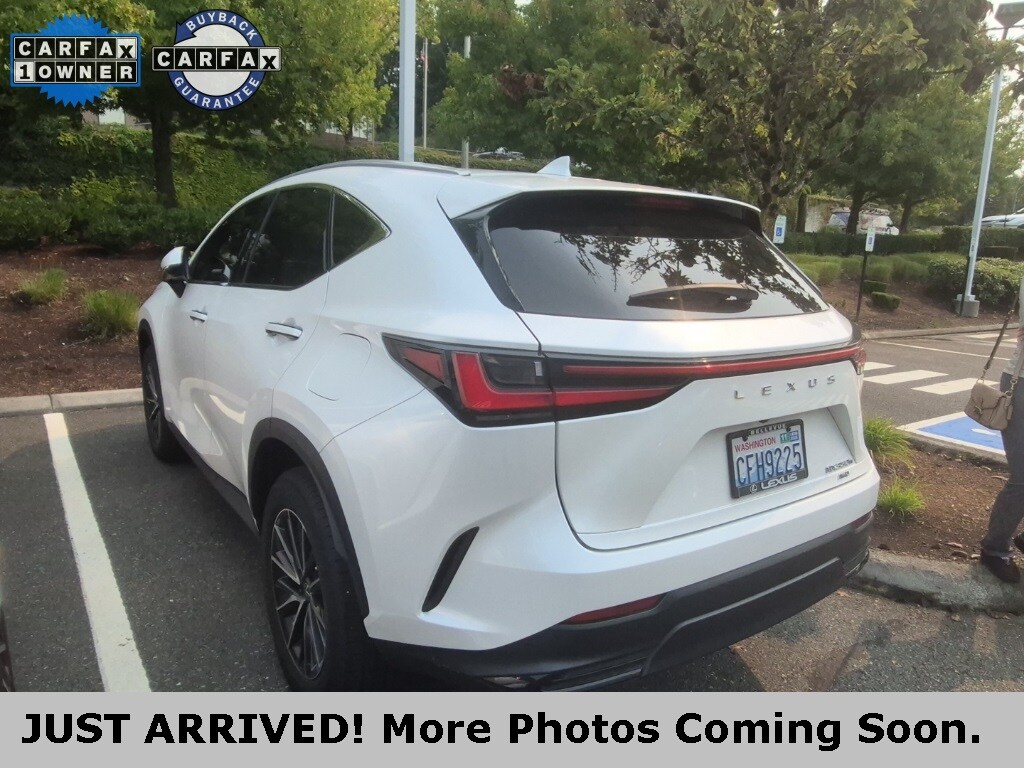 2023 Lexus NX 350h photo 4