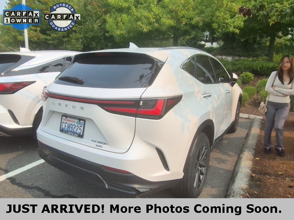 2023 Lexus NX 350h photo 3