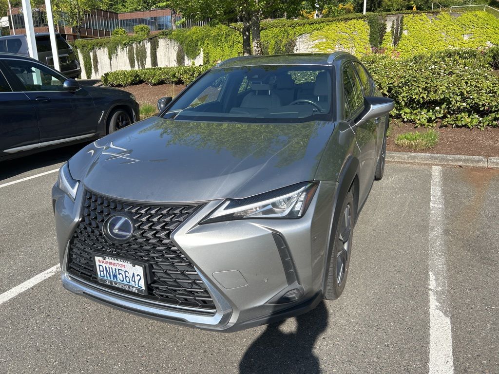 2019 Lexus UX 300h 250h AWD's photo