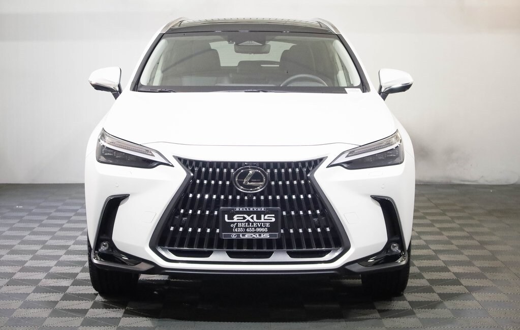 2025 Lexus NX Luxury AWD photo 2