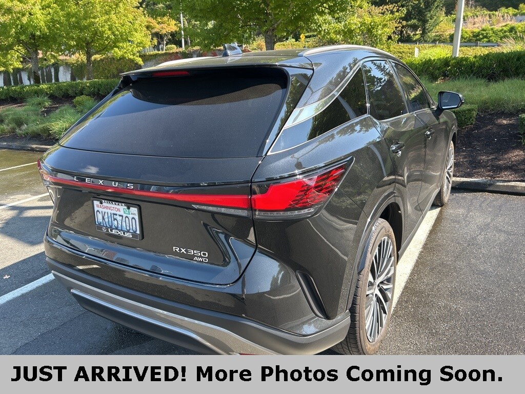 2023 Lexus RX 350 Premium photo 3
