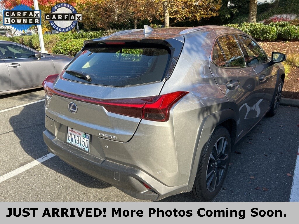 2020 Lexus UX 250h photo 4