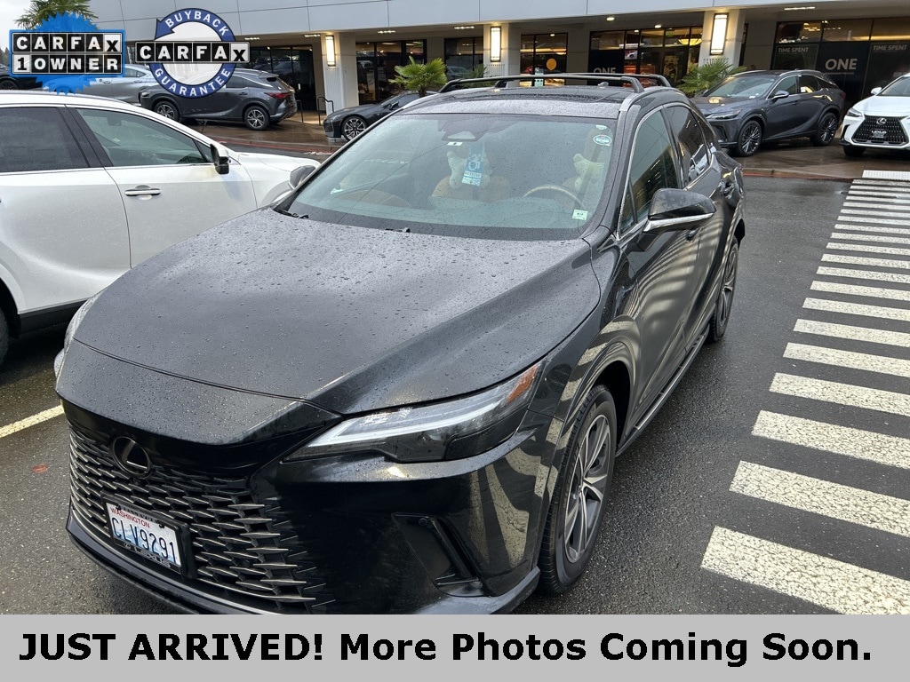 2024 Lexus RX Hybrid 350h's photo