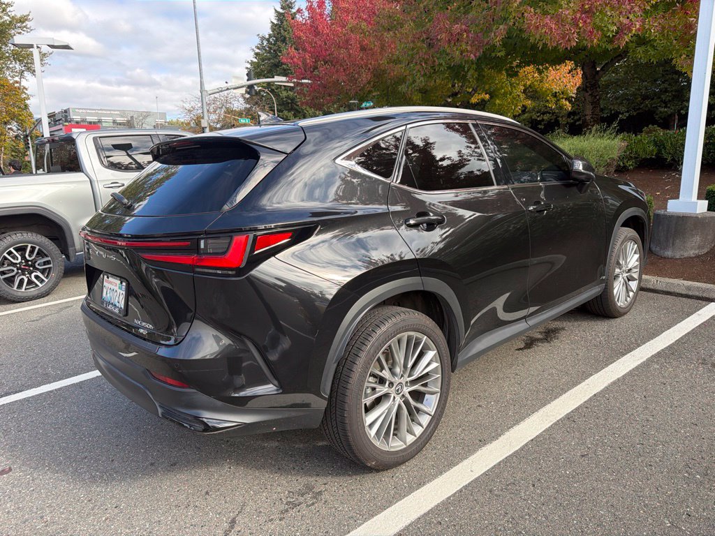 Used 2024 Lexus NX NX 350h Luxury