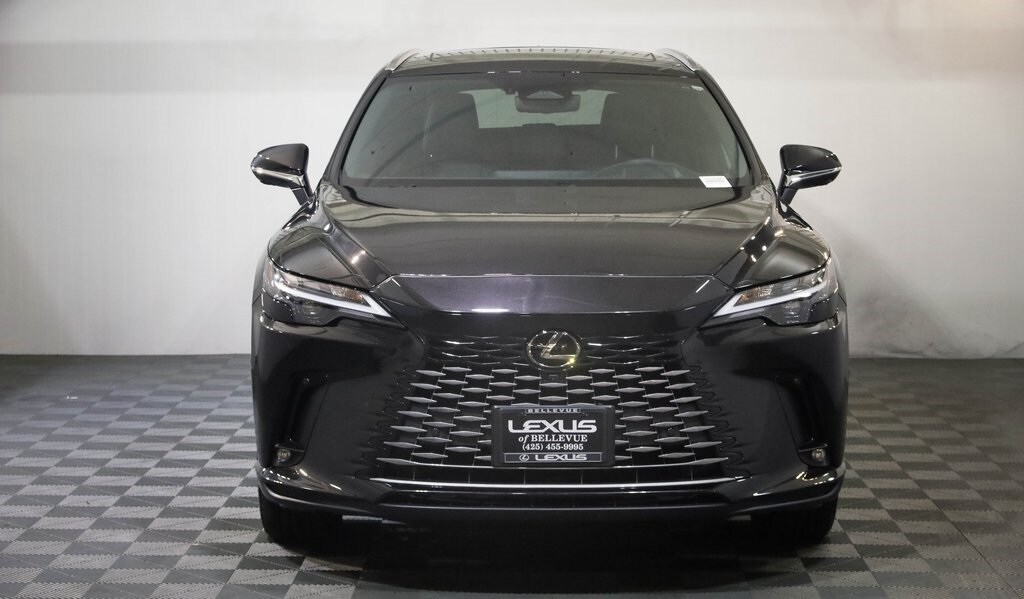 2025 Lexus RX 350 Premium photo 2