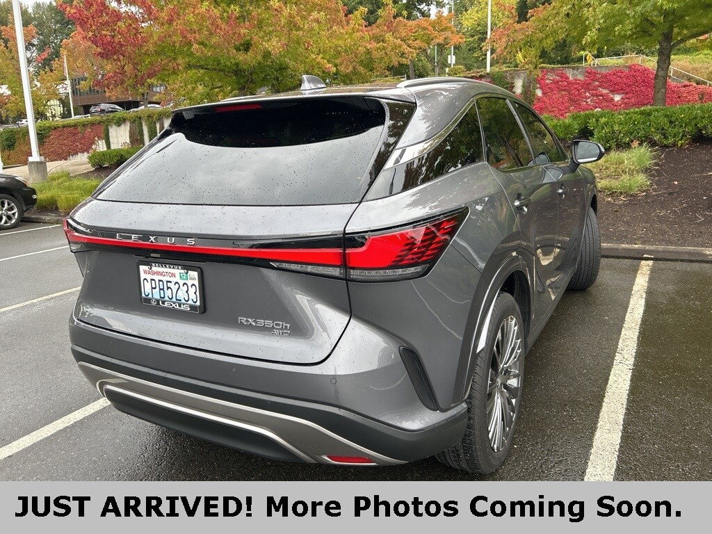 2023 Lexus RX 350h Luxury photo 4