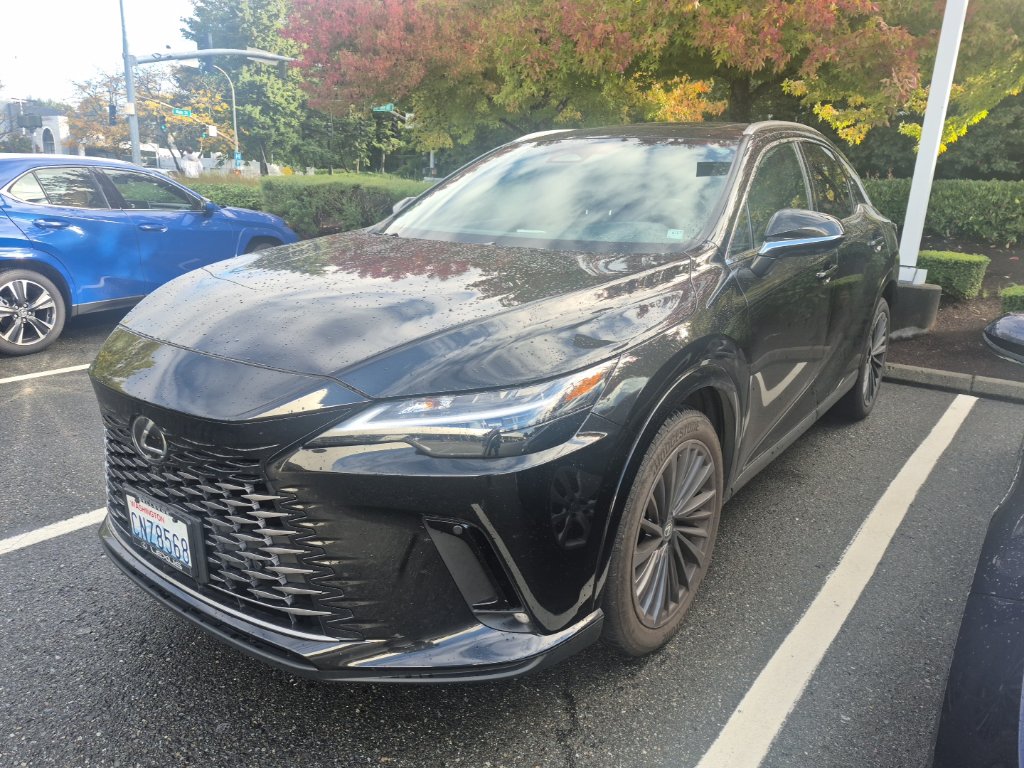 2024 Lexus RX