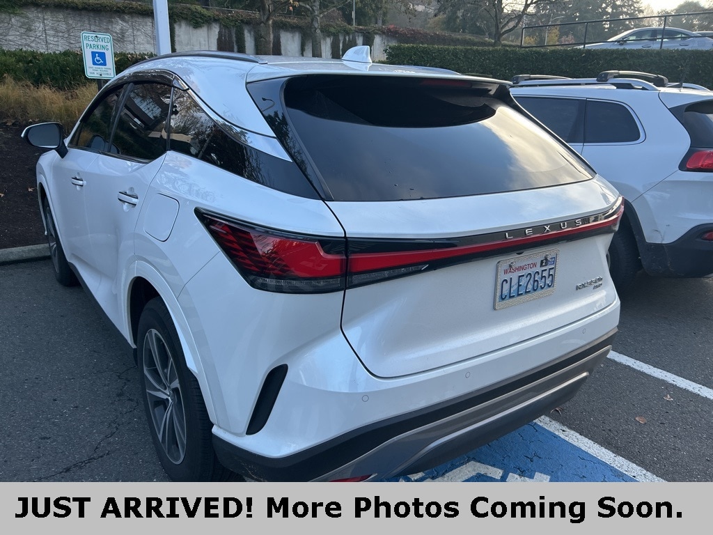 2024 Lexus RX Hybrid 350h's photo