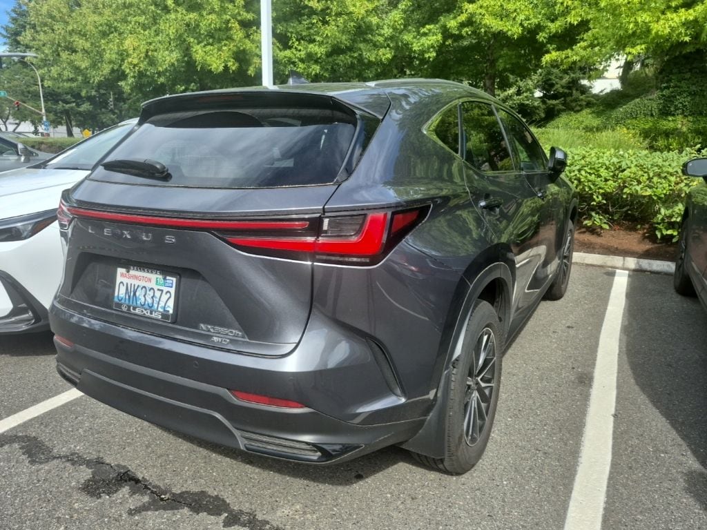 Used 2024 Lexus NX
