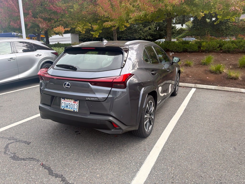 Used 2022 Lexus UX UX 250h