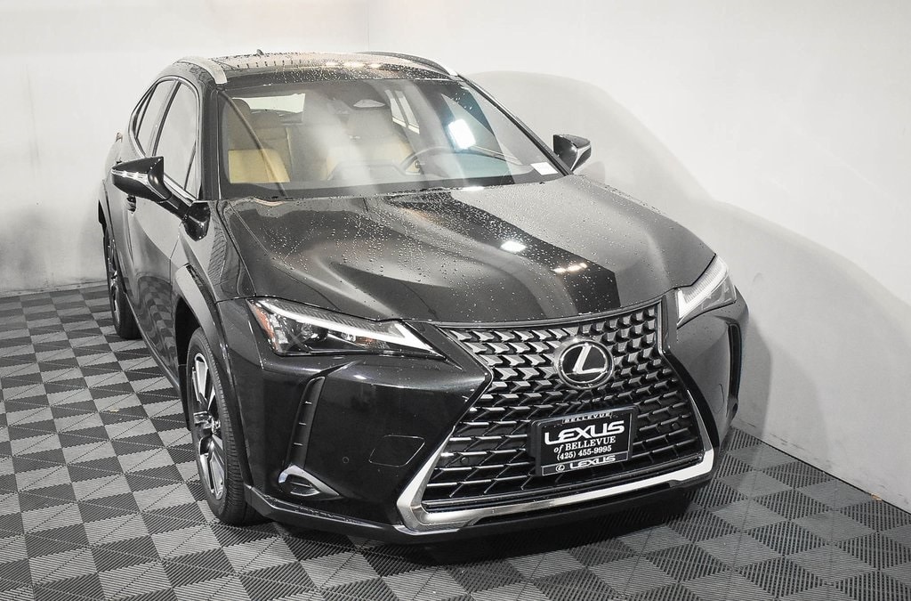 2025 Lexus UX Hybrid 300h Premium's photo