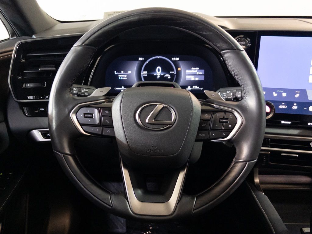2025 Lexus RX Hybrid 350h - Photo 18