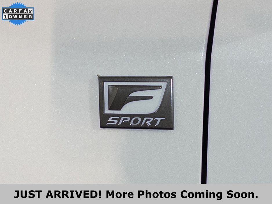 2024 Lexus RX 350 F SPORT - Photo 27