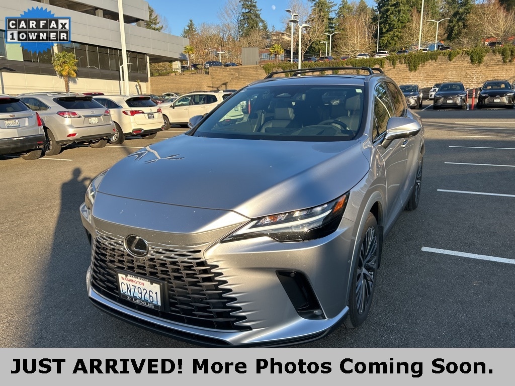 2024 Lexus RX Hybrid 350h's photo