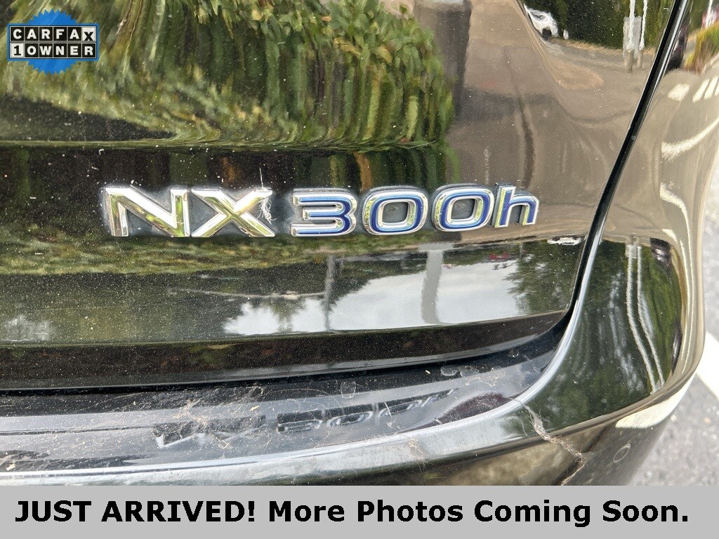 2017 Lexus NX 300h Premium photo 4