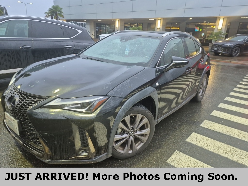 2020 Lexus UX Hybrid 250h F SPORT's photo
