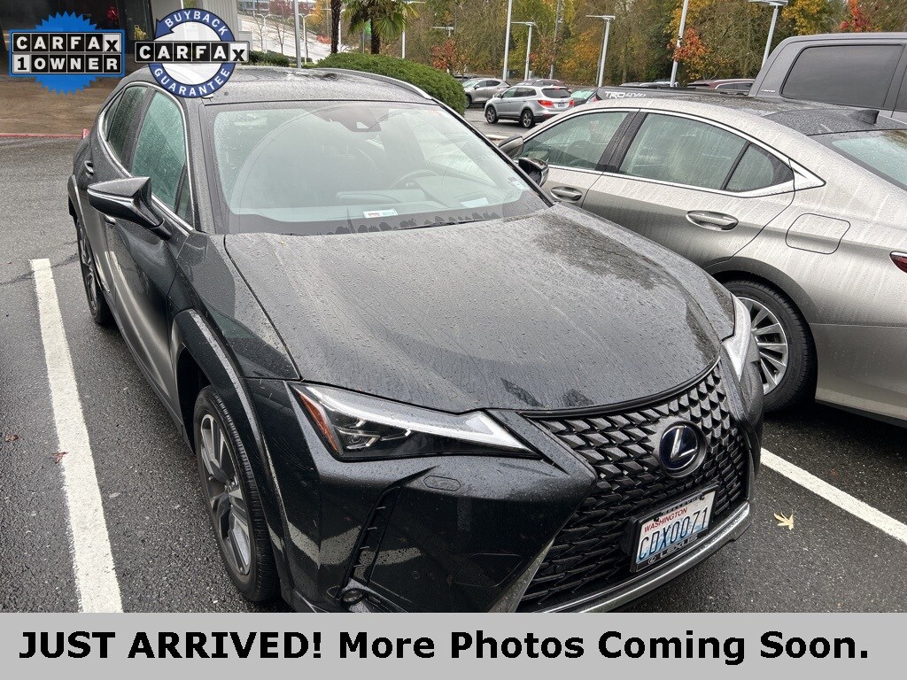 2022 Lexus UX 250h photo 2