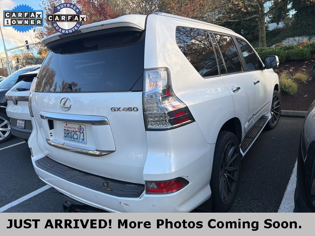 2019 Lexus GX 460 photo 3