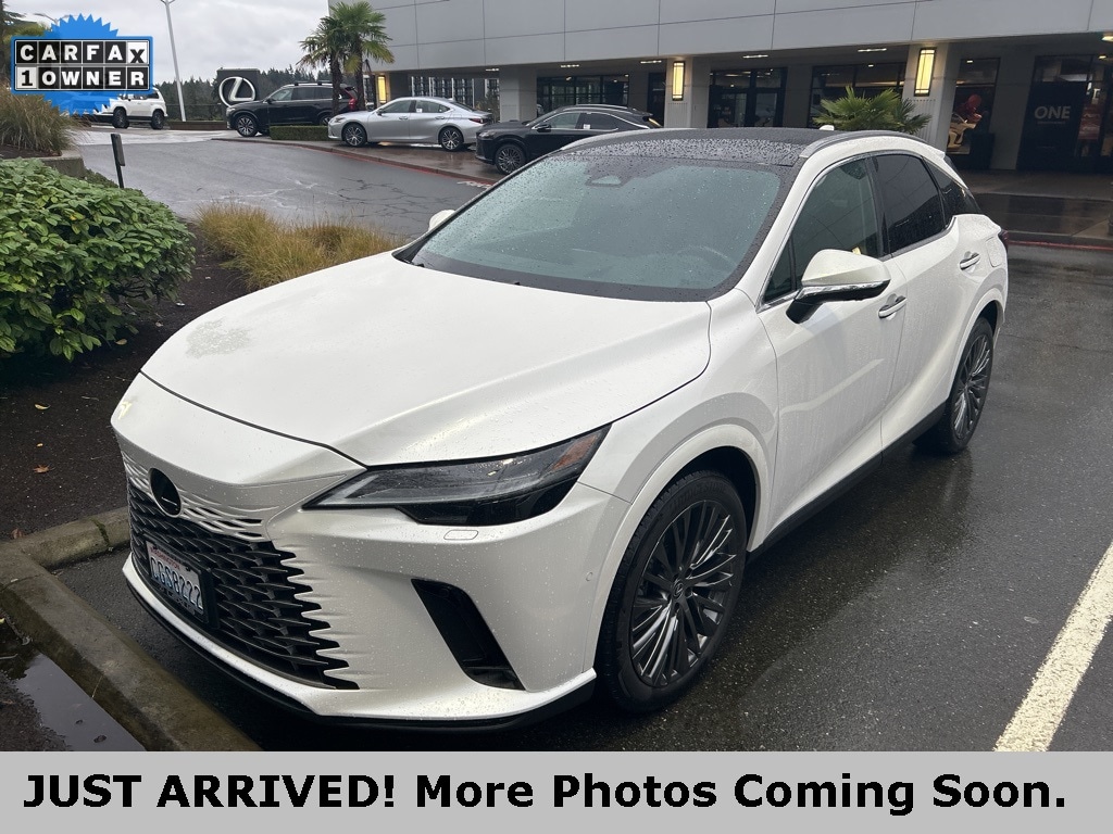 2023 Lexus RX Hybrid 350h's photo