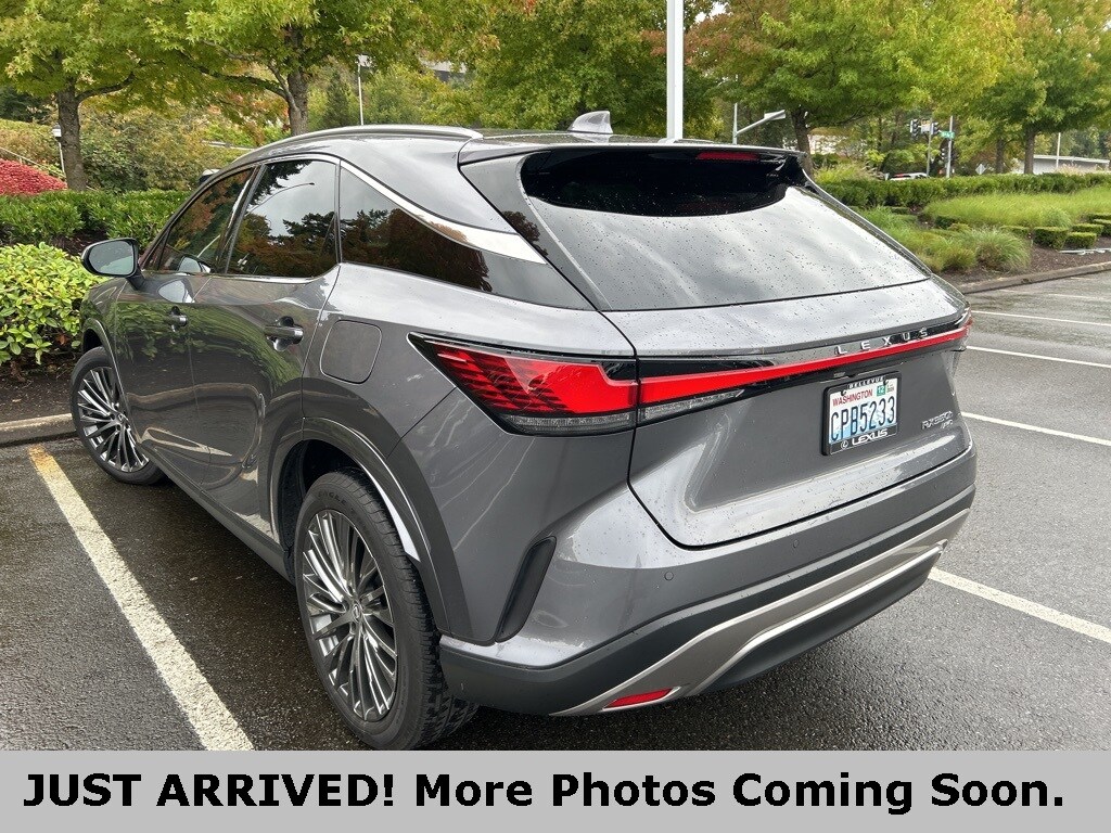 2023 Lexus RX 350h Luxury photo 3