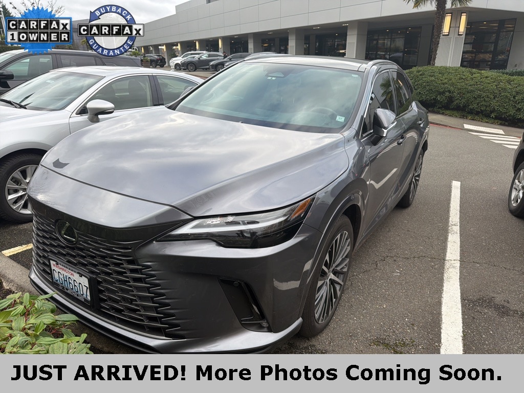 2023 Lexus RX Hybrid 350h's photo
