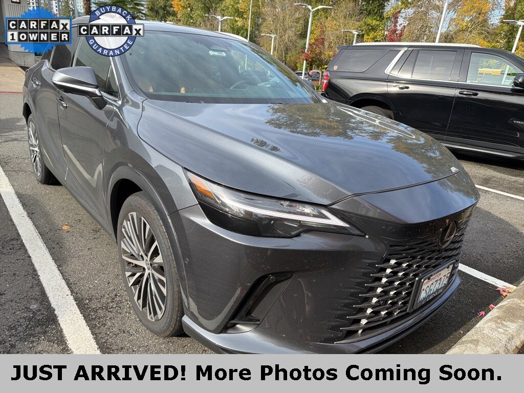 2025 Lexus RX 350 photo 2