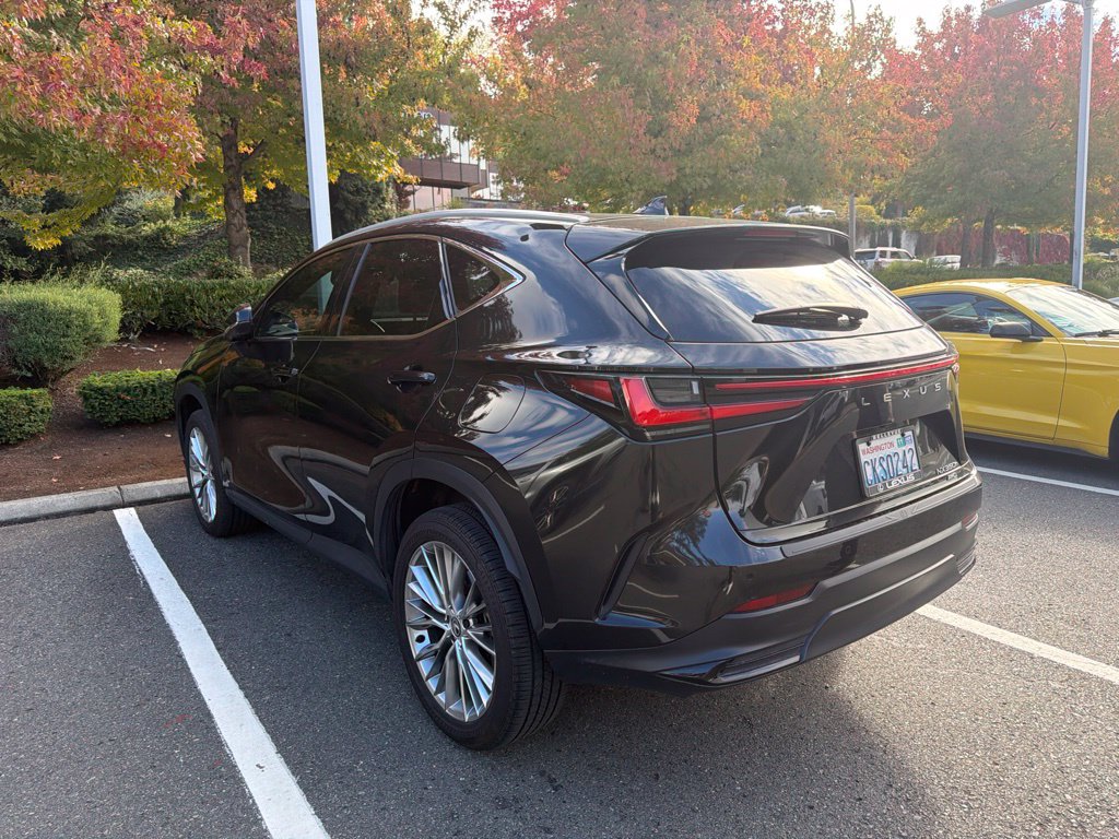 Used 2024 Lexus NX NX 350h Luxury