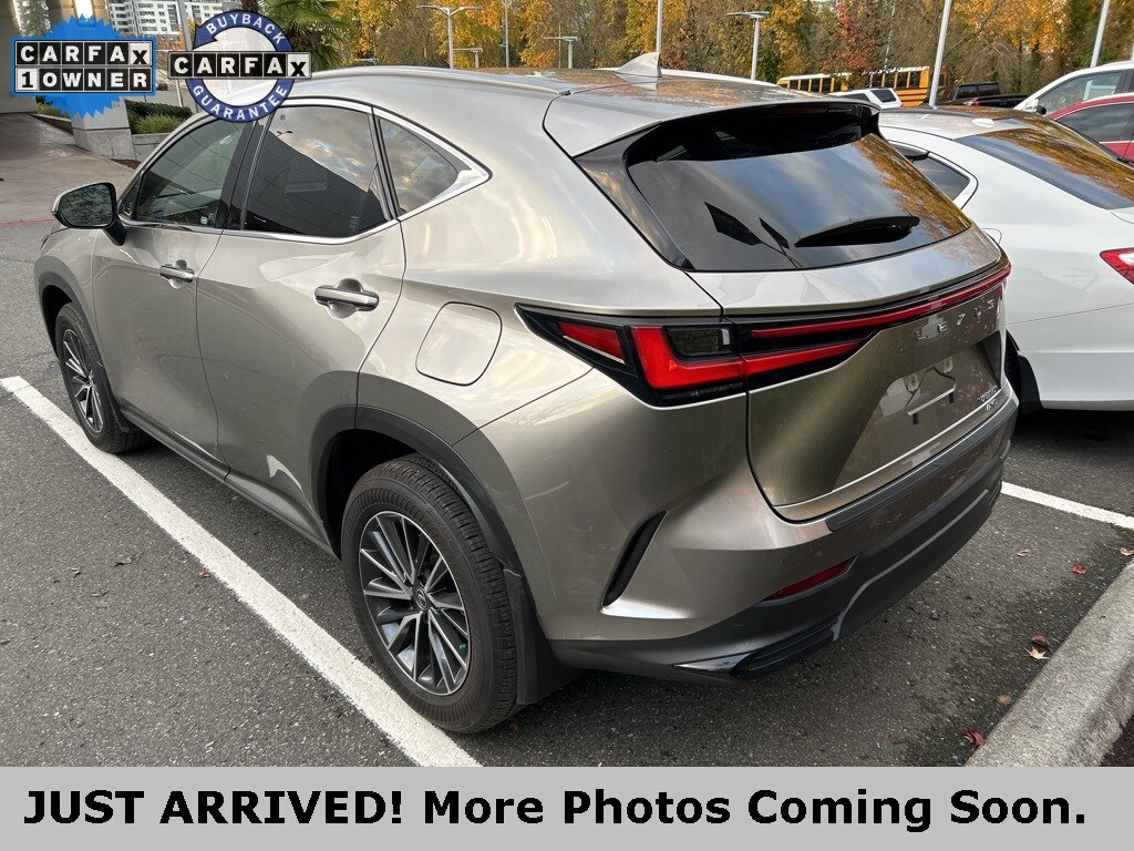 2024 Lexus NX 350h Premium photo 4