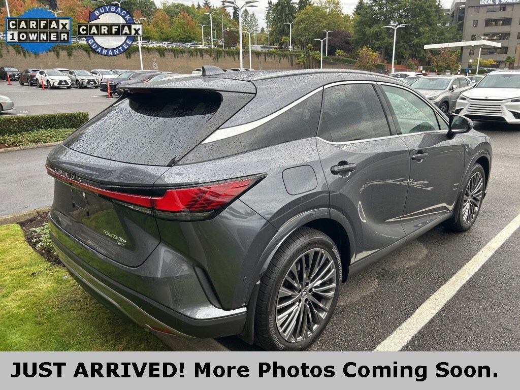 2025 Lexus RX 450h Luxury photo 3