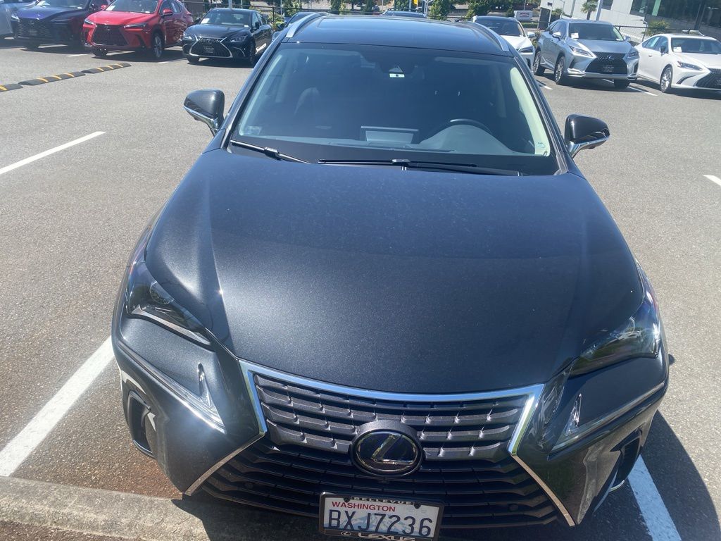 2021 Lexus NX 350h 300h AWD's photo