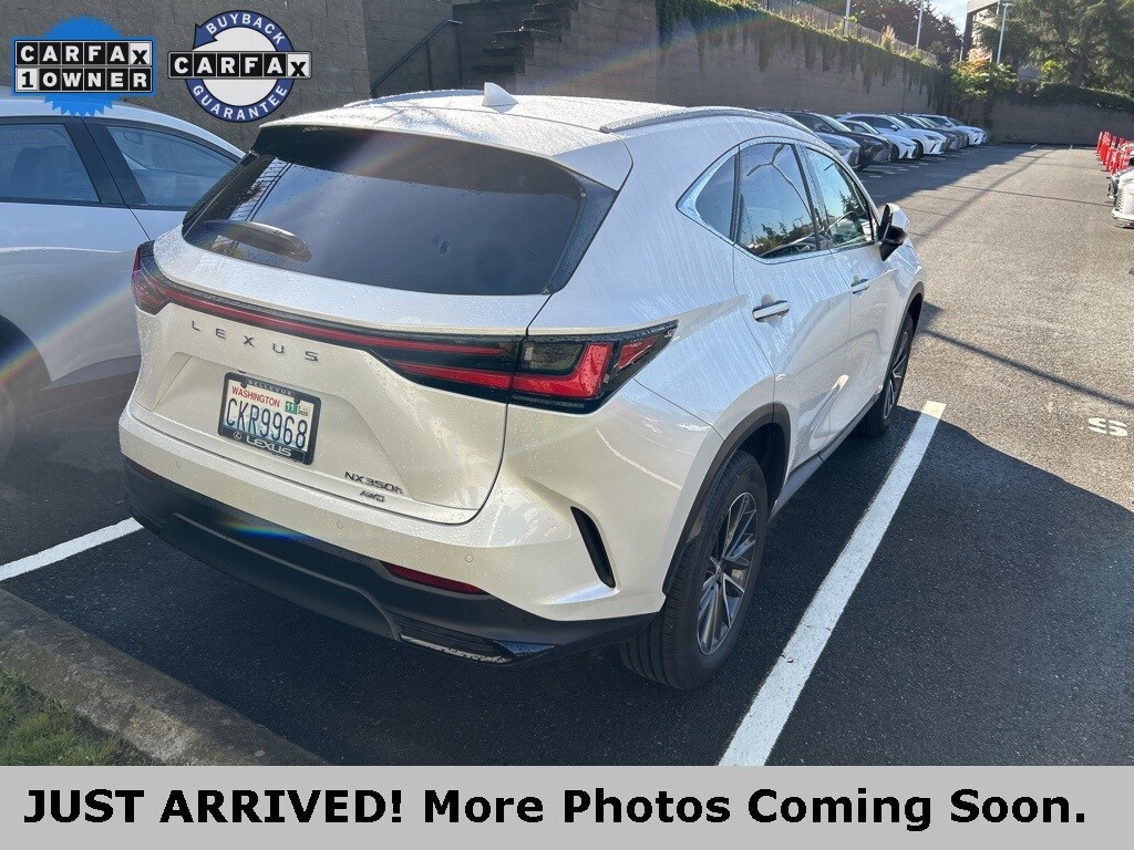 2024 Lexus NX 350h Premium photo 3