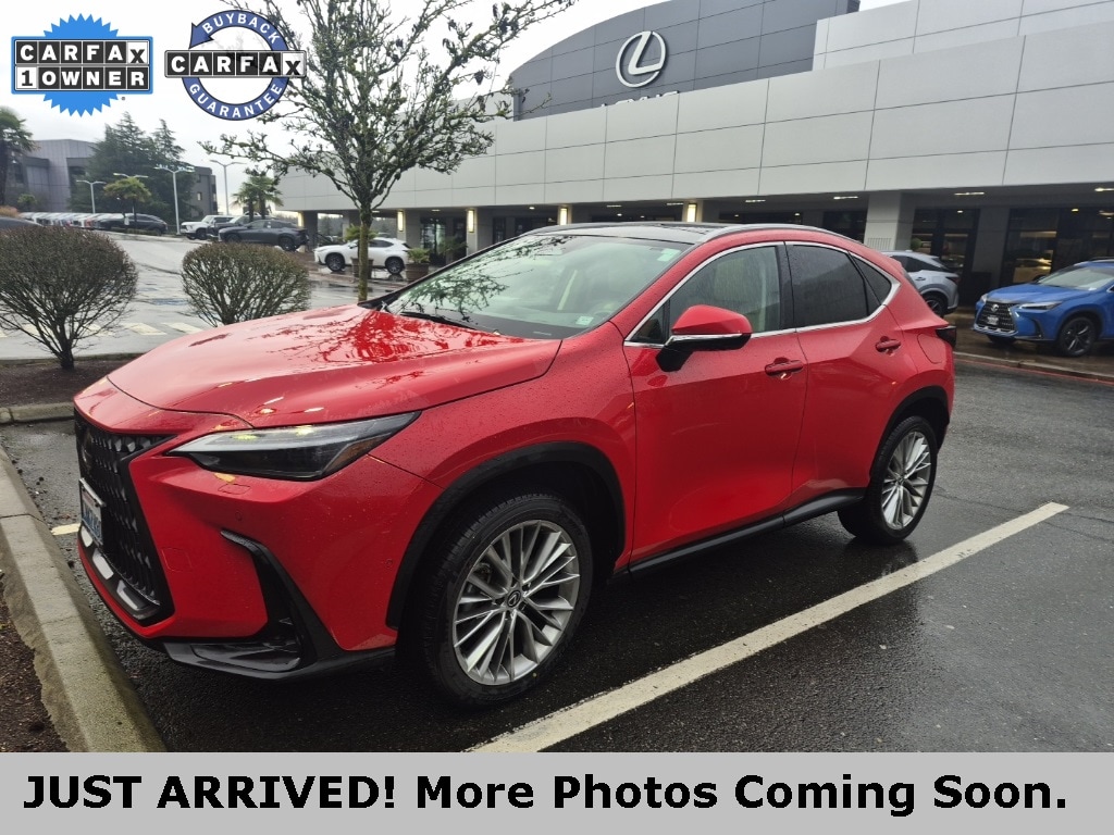 2025 Lexus NX 350's photo