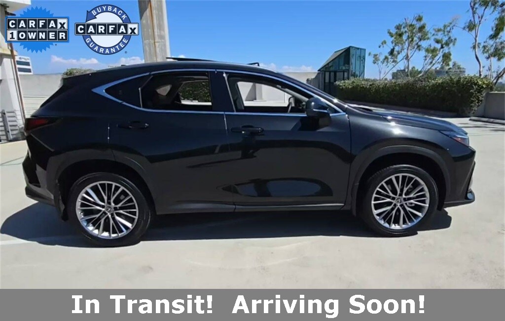 2025 Lexus NX 350h Luxury AWD photo 2