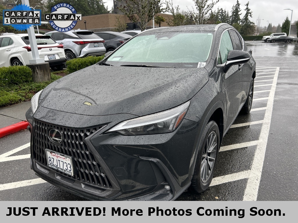 2022 Lexus NX Hybrid 350h's photo