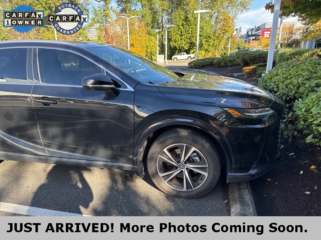 2024 Lexus RX 350 Premium photo 2