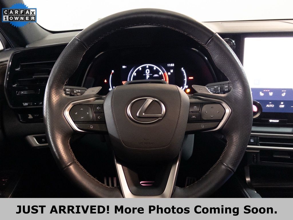 2024 Lexus RX 350 F SPORT - Photo 18
