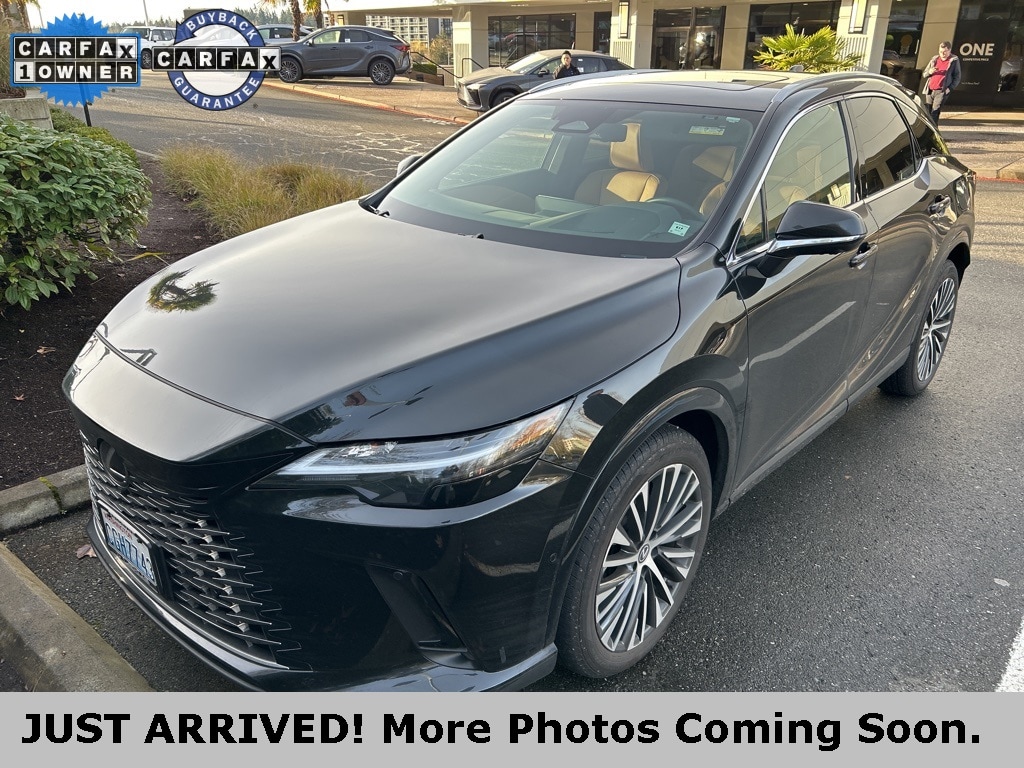 2024 Lexus RX 350's photo