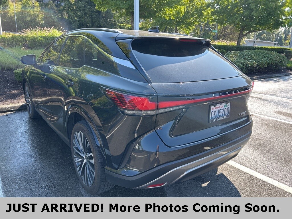 2023 Lexus RX 350 Premium photo 2