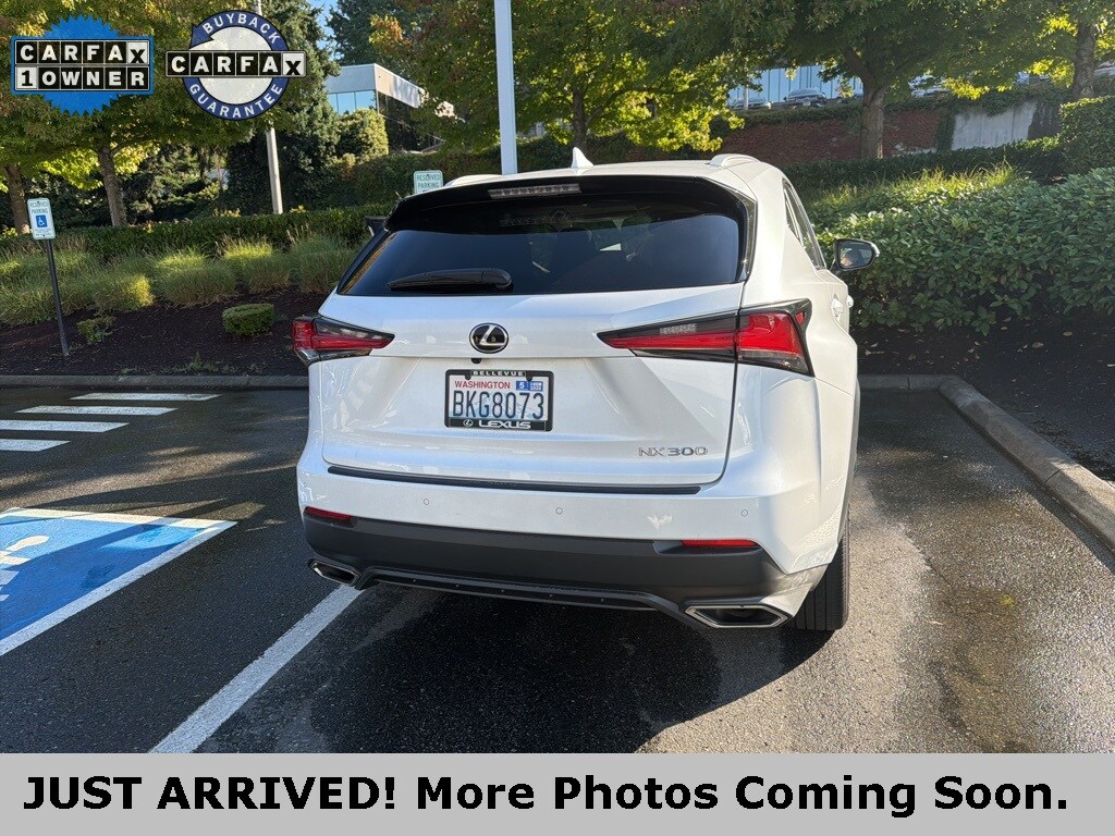 2018 Lexus NX 300 Luxury photo 3