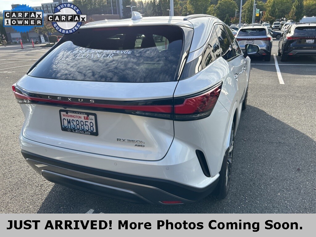 2024 Lexus RX 350h Luxury photo 4