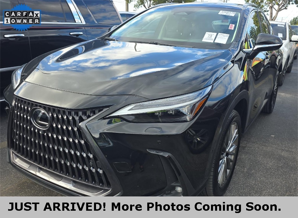2022 Lexus NX Hybrid 350h's photo
