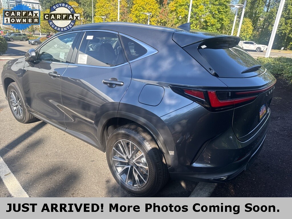 2025 Lexus NX 350h Premium photo 4