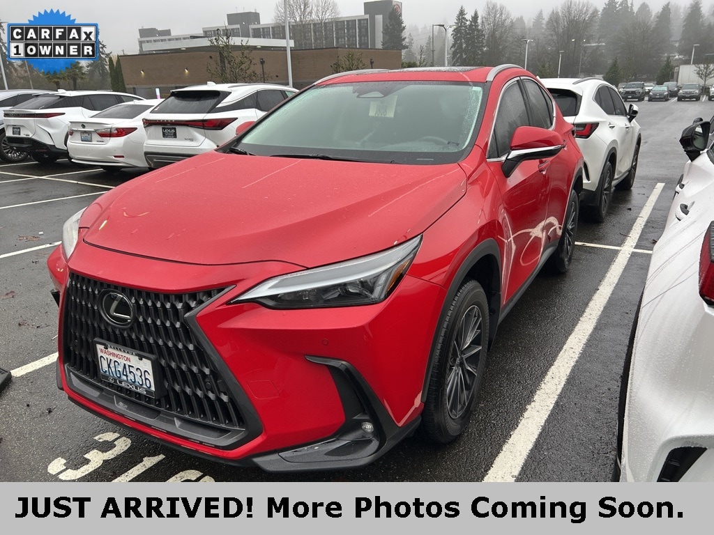 2024 Lexus NX Hybrid 350h's photo