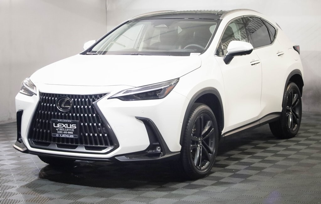2025 Lexus NX Luxury AWD photo 3